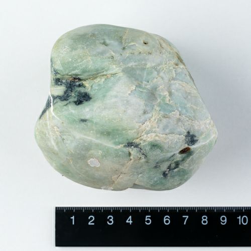 海石・貝殻付着・緑色模様・親不知海岸産・1.0kg】（高品質濃緑色