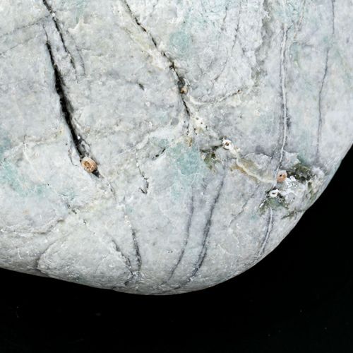 海石・貝殻付着・親不知海岸産・1.3kg】（高品質青色ヒスイ）糸魚川