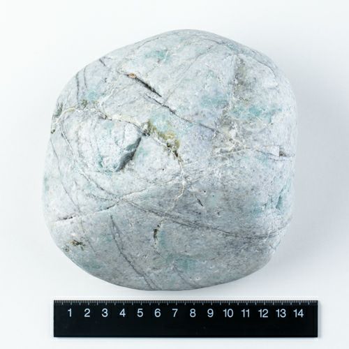 海石・貝殻付着・親不知海岸産・1.3kg】（高品質青色ヒスイ）糸魚川